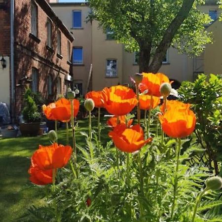 City Appartement Mit Garten, Zentral Und Trotzdem Ruhig Cottbus Exteriér fotografie