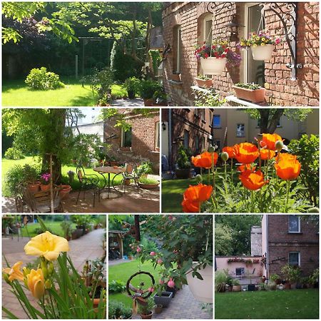 City Appartement Mit Garten, Zentral Und Trotzdem Ruhig Cottbus Exteriér fotografie
