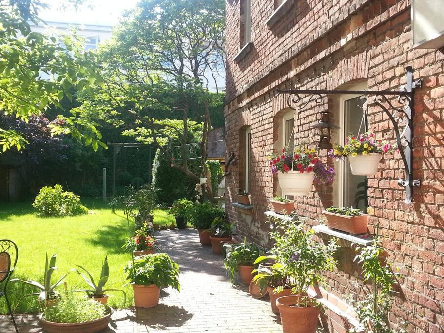 City Appartement Mit Garten, Zentral Und Trotzdem Ruhig Cottbus Exteriér fotografie