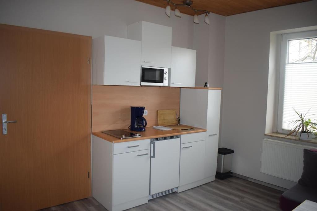 City Appartement Mit Garten, Zentral Und Trotzdem Ruhig Cottbus Exteriér fotografie