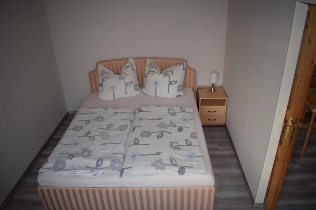 City Appartement Mit Garten, Zentral Und Trotzdem Ruhig Cottbus Exteriér fotografie