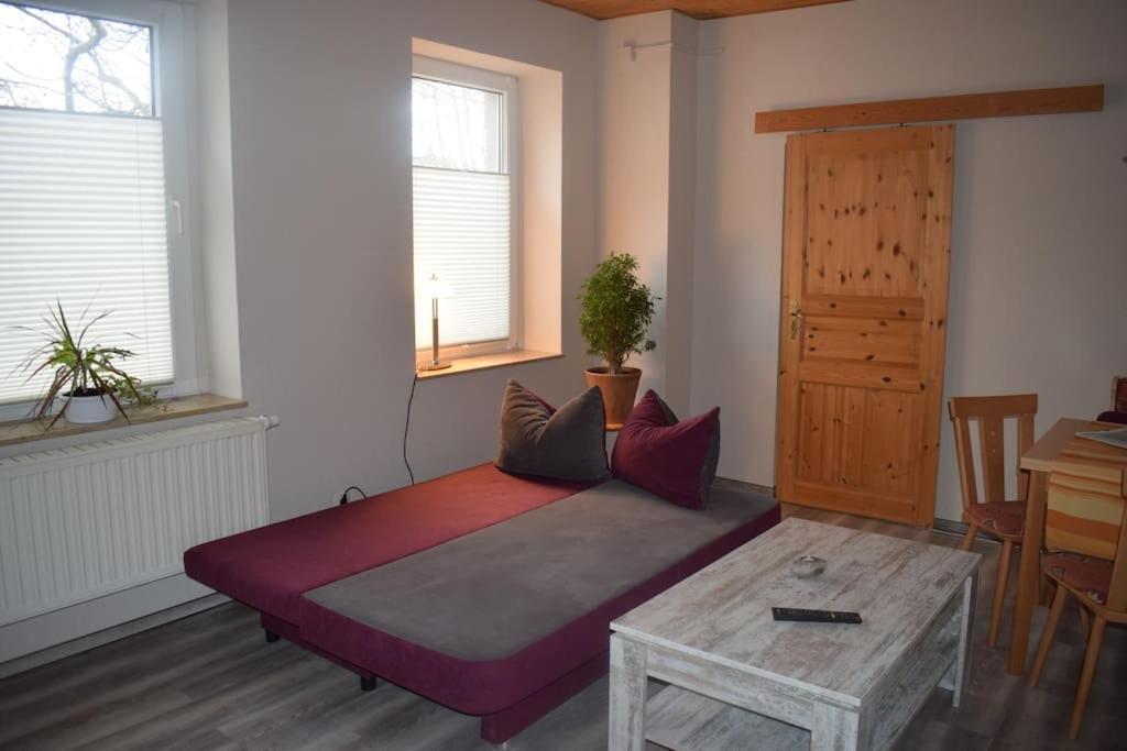 City Appartement Mit Garten, Zentral Und Trotzdem Ruhig Cottbus Exteriér fotografie