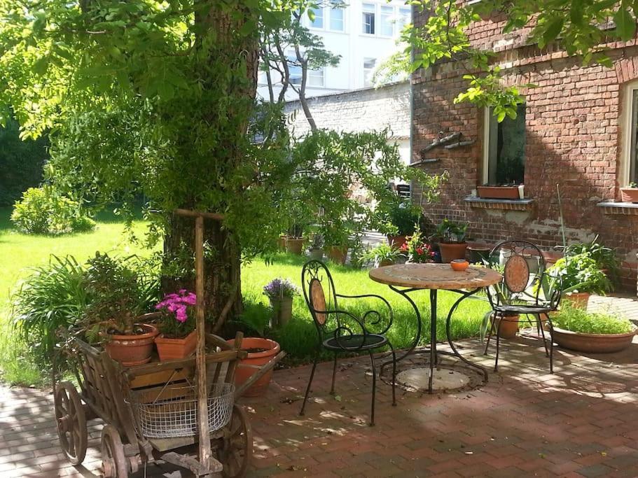 City Appartement Mit Garten, Zentral Und Trotzdem Ruhig Cottbus Exteriér fotografie