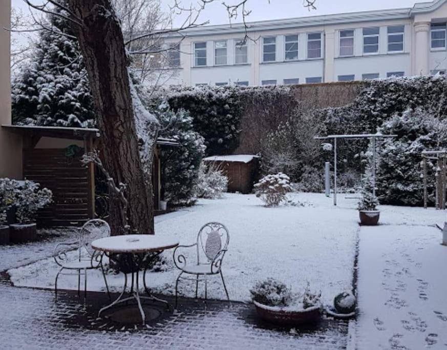City Appartement Mit Garten, Zentral Und Trotzdem Ruhig Cottbus Exteriér fotografie