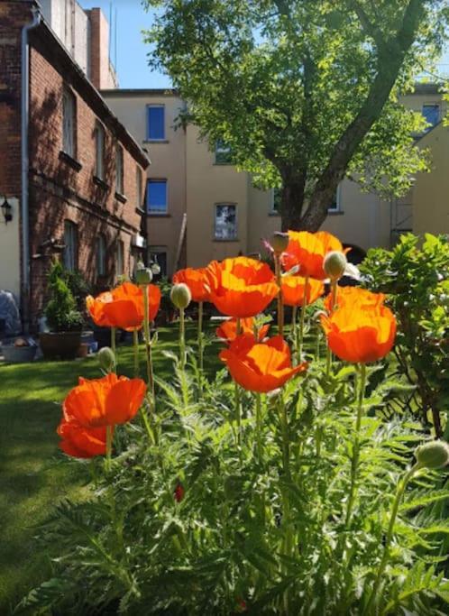 City Appartement Mit Garten, Zentral Und Trotzdem Ruhig Cottbus Exteriér fotografie